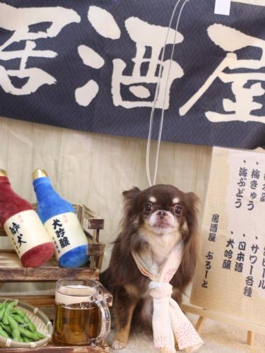 20240611チロルくん